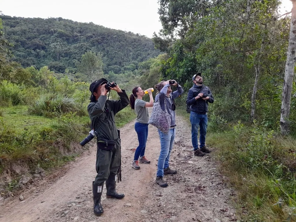 Grupo de visitantes observando aves con binóculos en un camino de la reserva