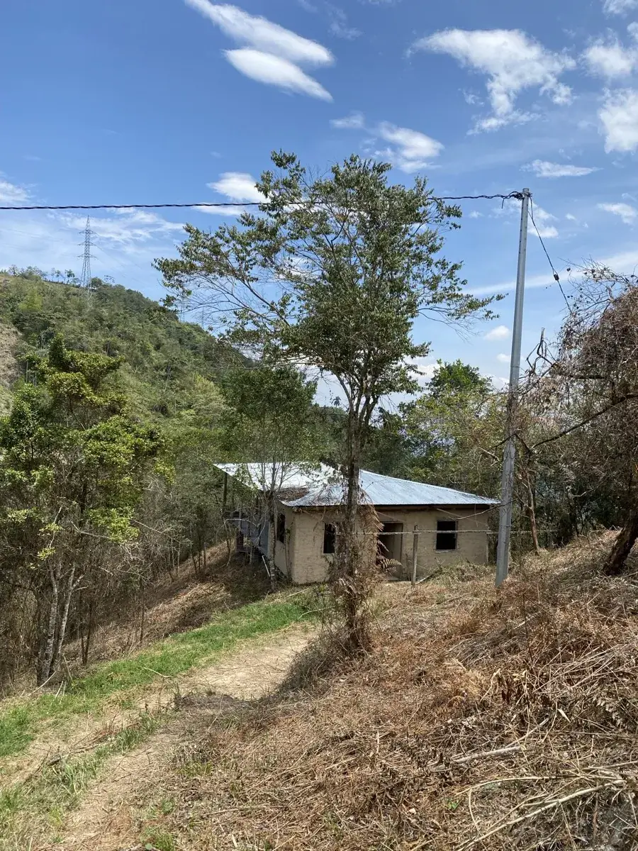 Casa de techo de zinc en una ladera de la reserva, entre árboles y monte
