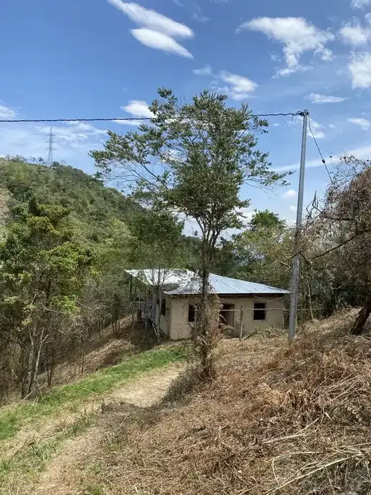 Casa de techo de zinc en una ladera de la reserva, entre árboles y monte