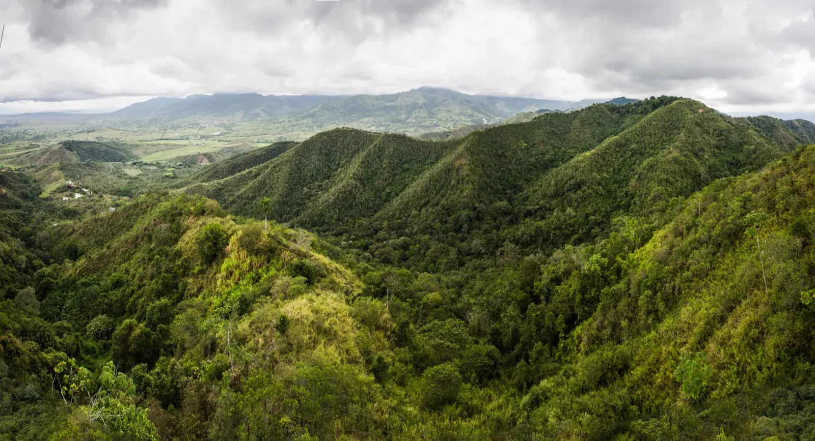 Bosque andino de la Reserva Natural Los Chagualos