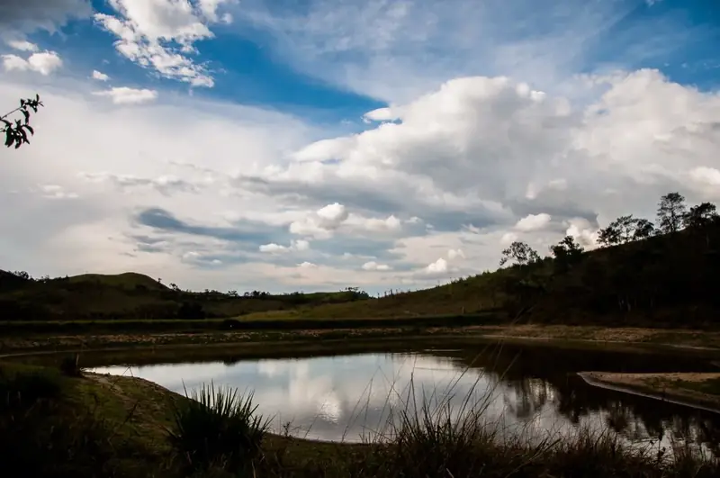 Bosque en conservación en la Reserva Natural Los Chagualos