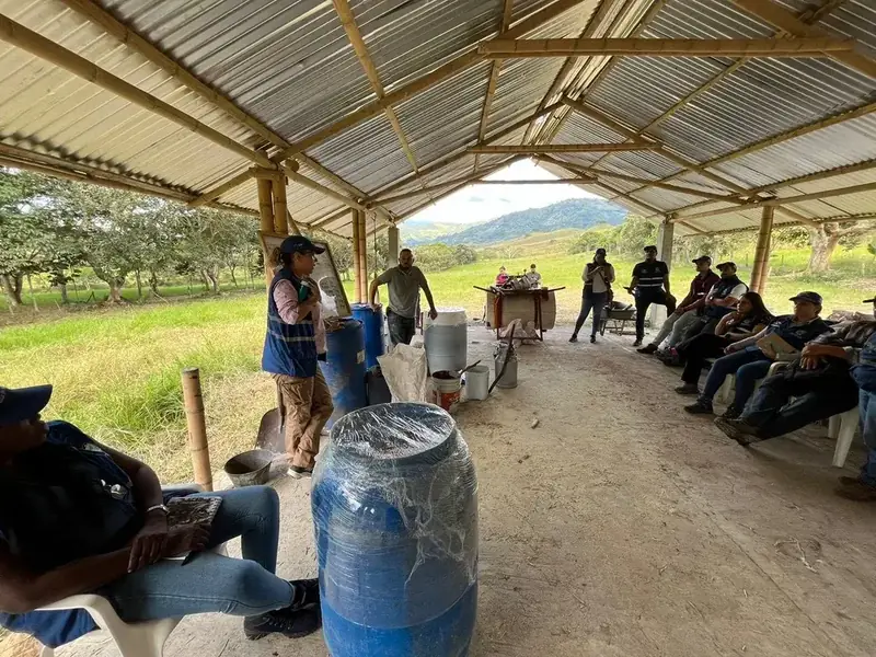 Práctica de preparación de bioinsumos durante el curso