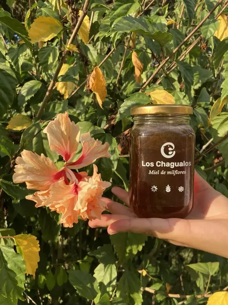 Miel de la reserva junto a flores del bosque
