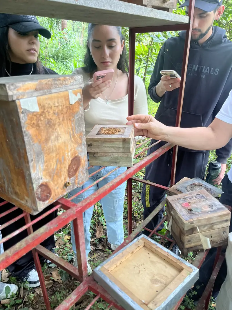 Estudiantes de diseño observando y fotografiando un módulo de refugio junto a una caja vieja del meliponario