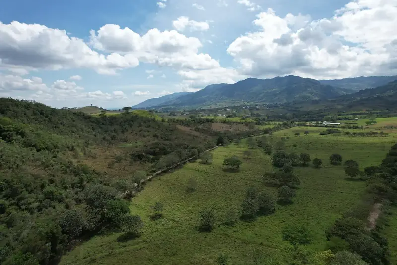 Vista aérea de los potreros y el bosque de la reserva