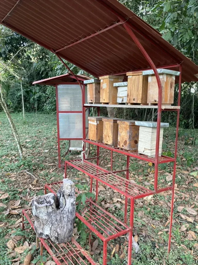 Cajas de madera del meliponario de la reserva sobre su base metálica